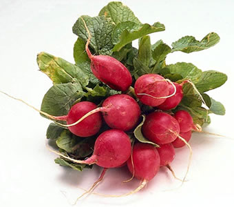 中医：几款萝卜妙方助你美容减肥